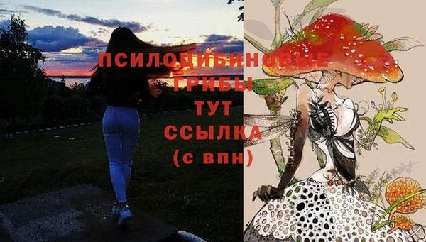 мет Абинск