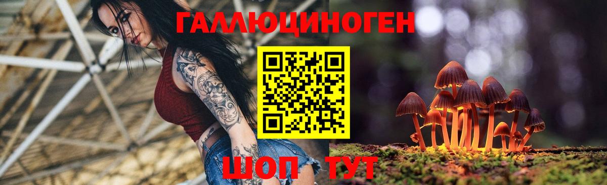 Псилоцибиновые грибы GOLDEN TEACHER Иваново